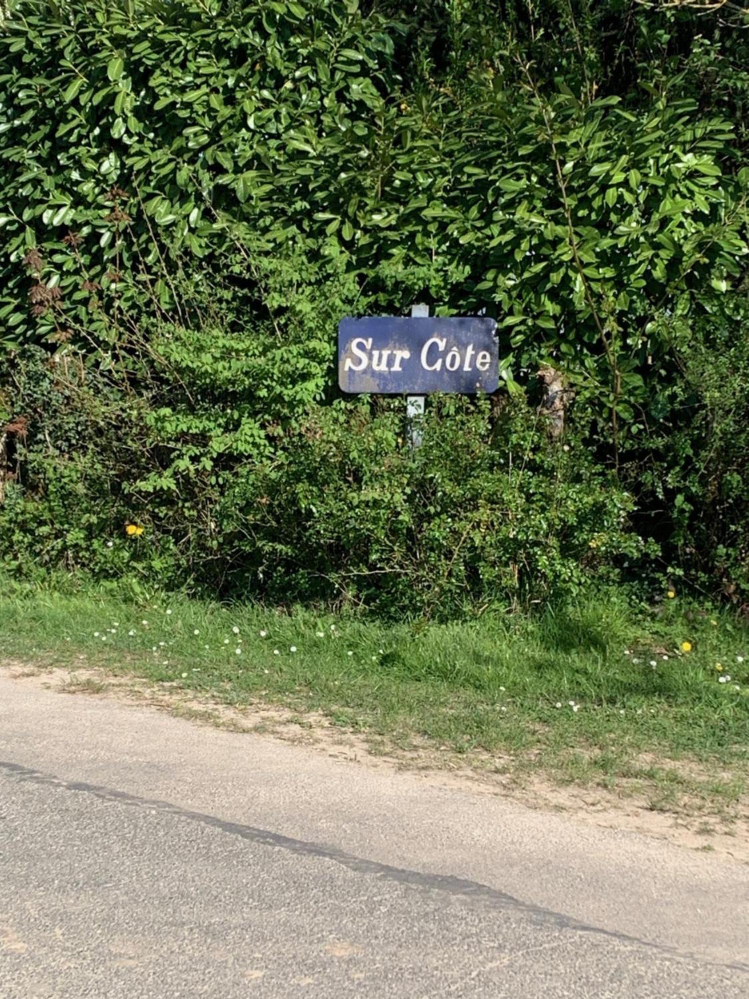 Sur Cote En Dombes Villa Villette-sur-Ain Exterior foto